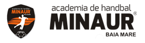 Academia de Handbal Minaur